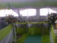 /album/decora%c3%a7%c3%a3o%20festa/imagem-2408-jpg/